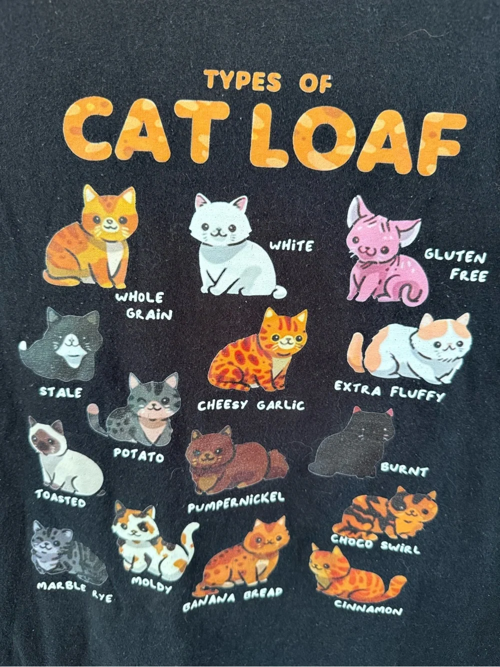 Black 'Types of Cat Loaf' Graphic Tee for Cats & Cat Lovers